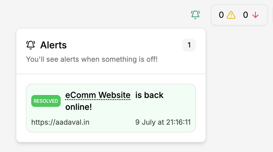 Real-time alerts screenshot